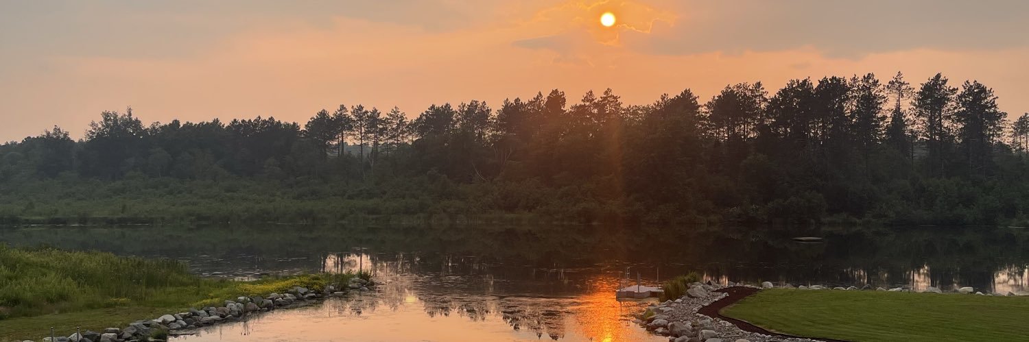 Elizabeth Skipper banner