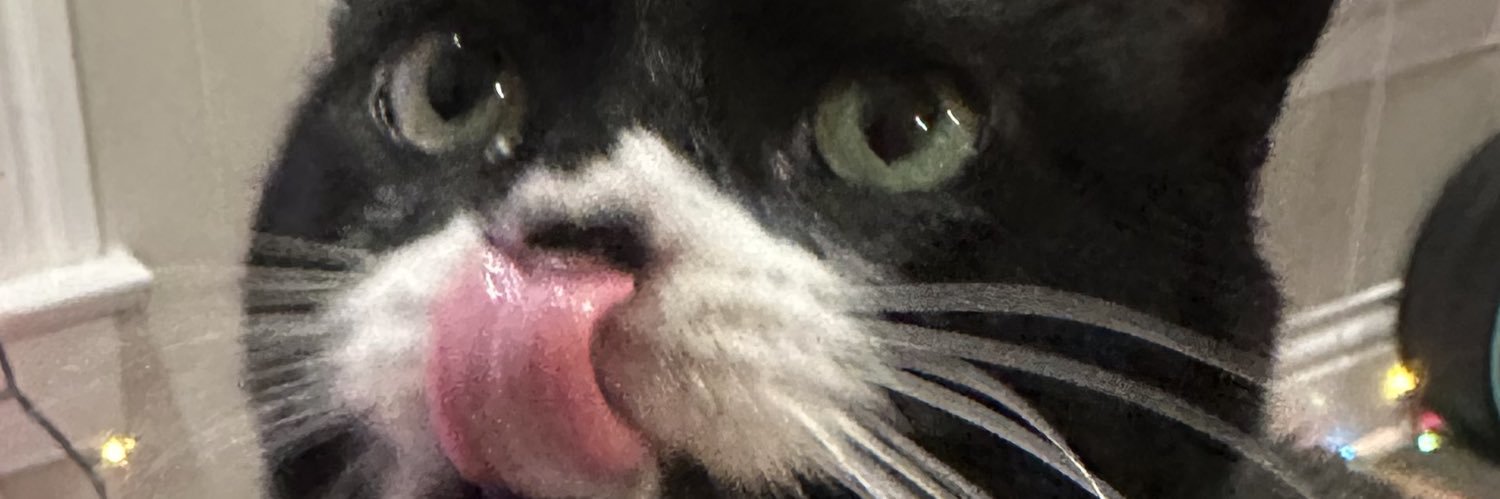 lezzypr08's profile banner image