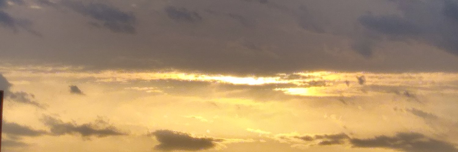 hamida93's profile banner image