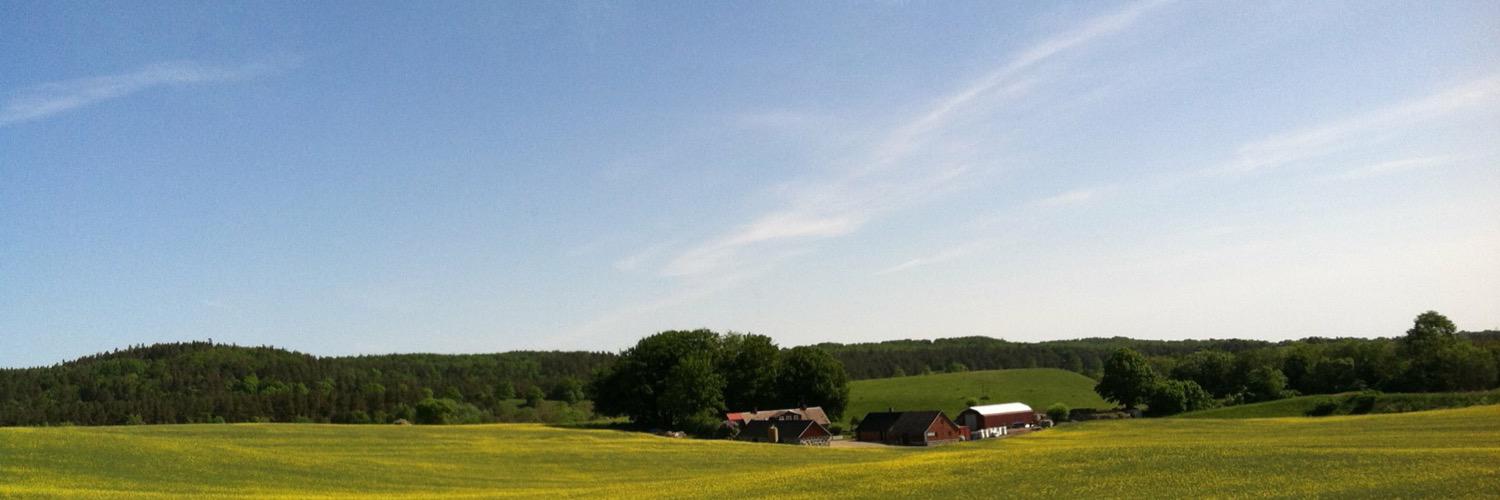 rachkloss's profile banner image