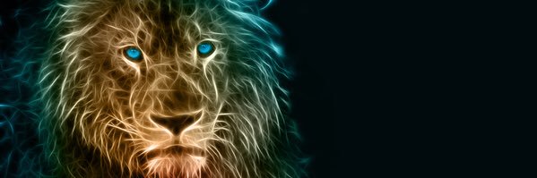 DylanDoucet0's profile banner image