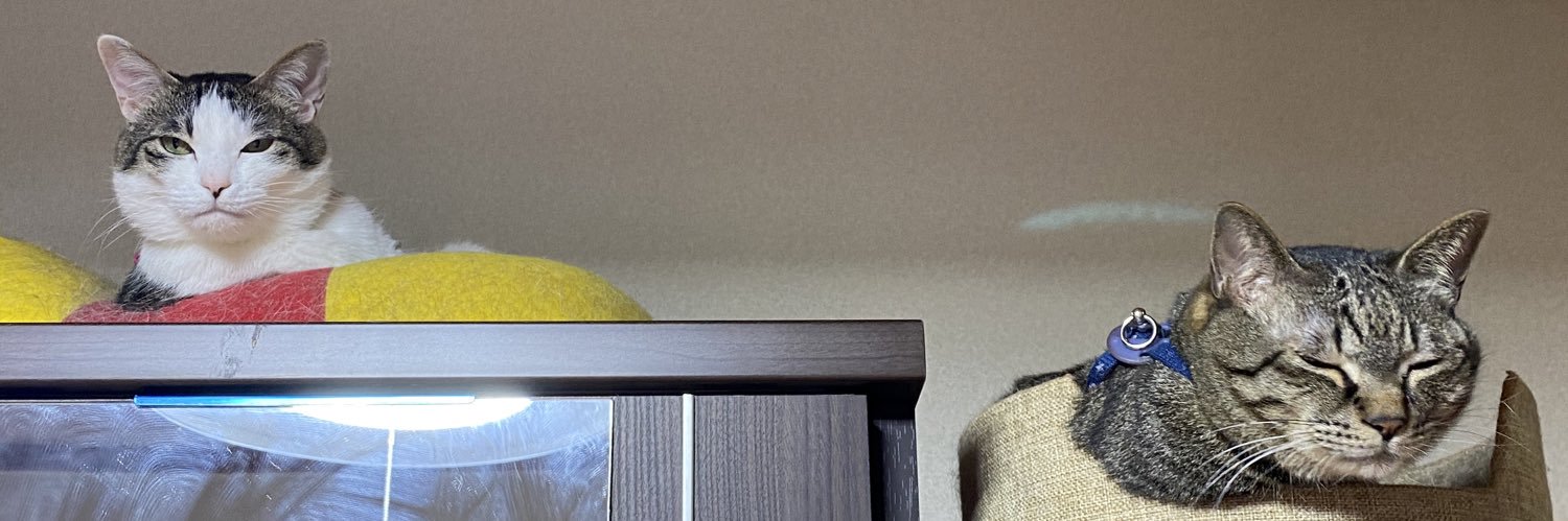 devilusarin's profile banner image