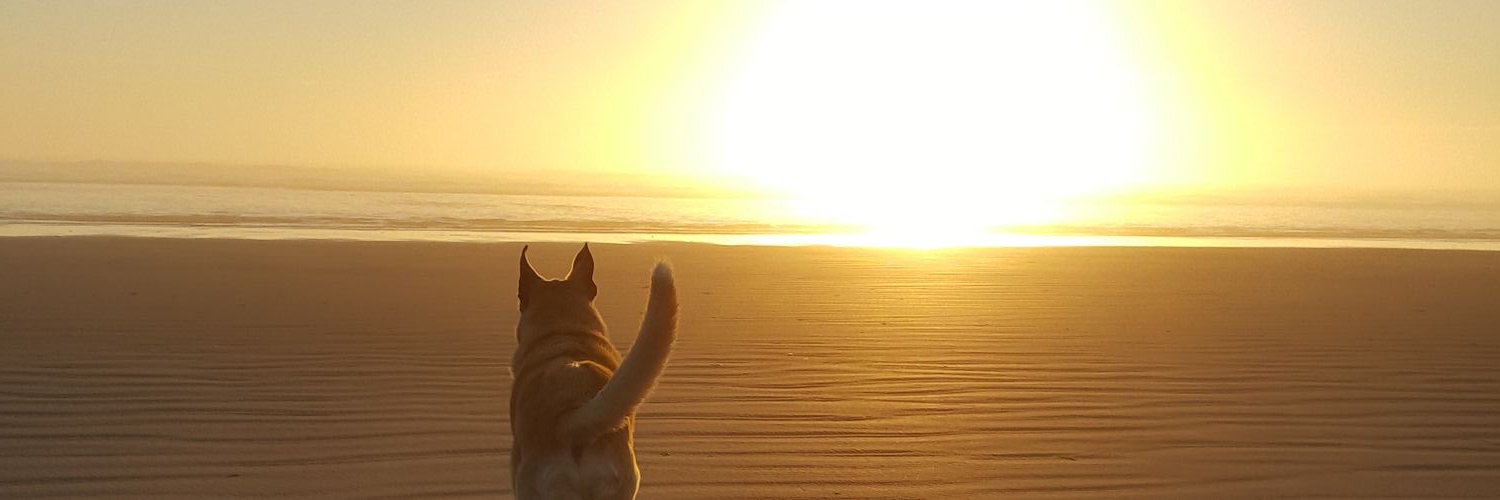 rhysbooty's profile banner image