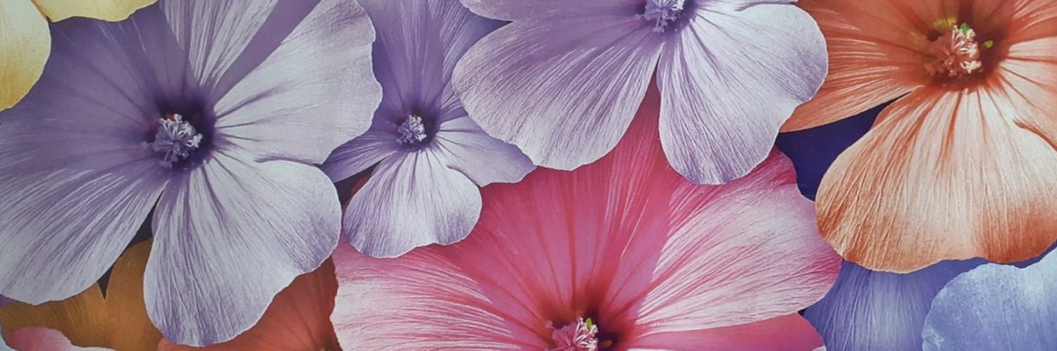 Mrs_Luciani's profile banner image
