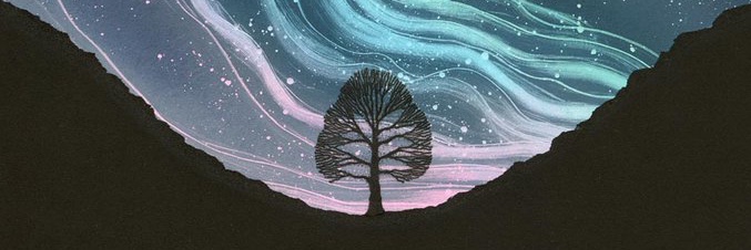 mcnben's profile banner image