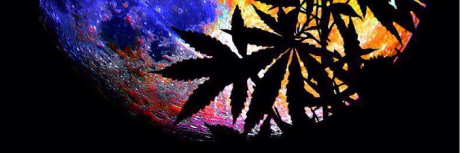 worldinsightful's profile banner image