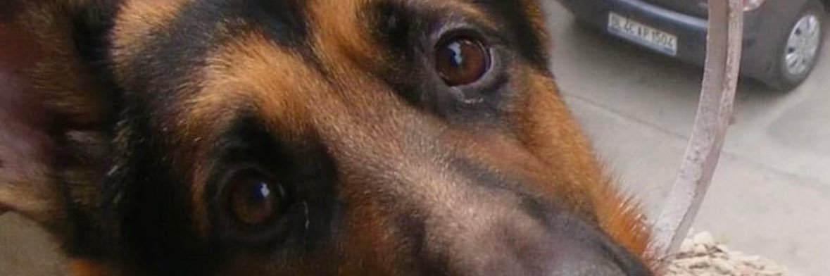 GeekTard101's profile banner image