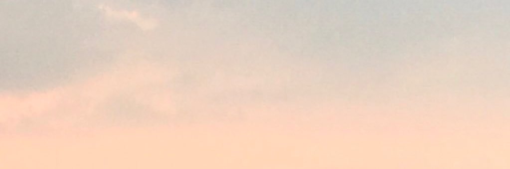 Bella Campen banner
