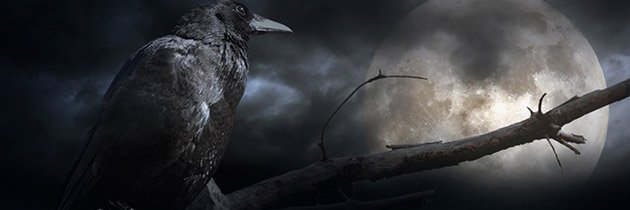 exar_kun222's profile banner image
