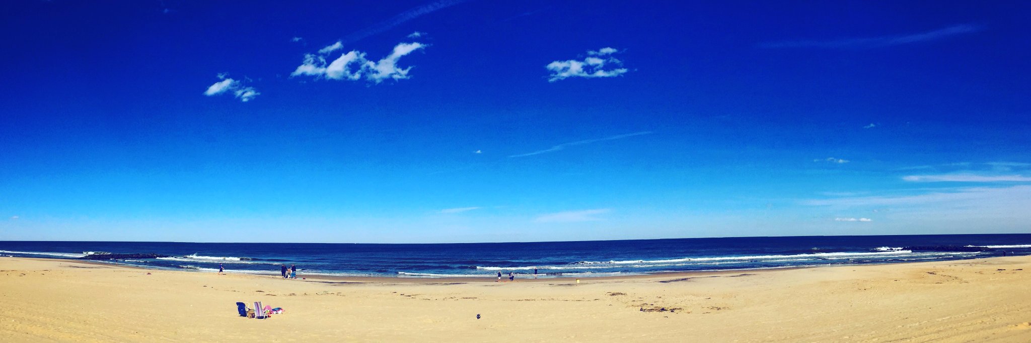 Marie K. Young banner