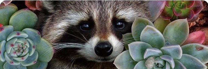 DBalakci's profile banner image