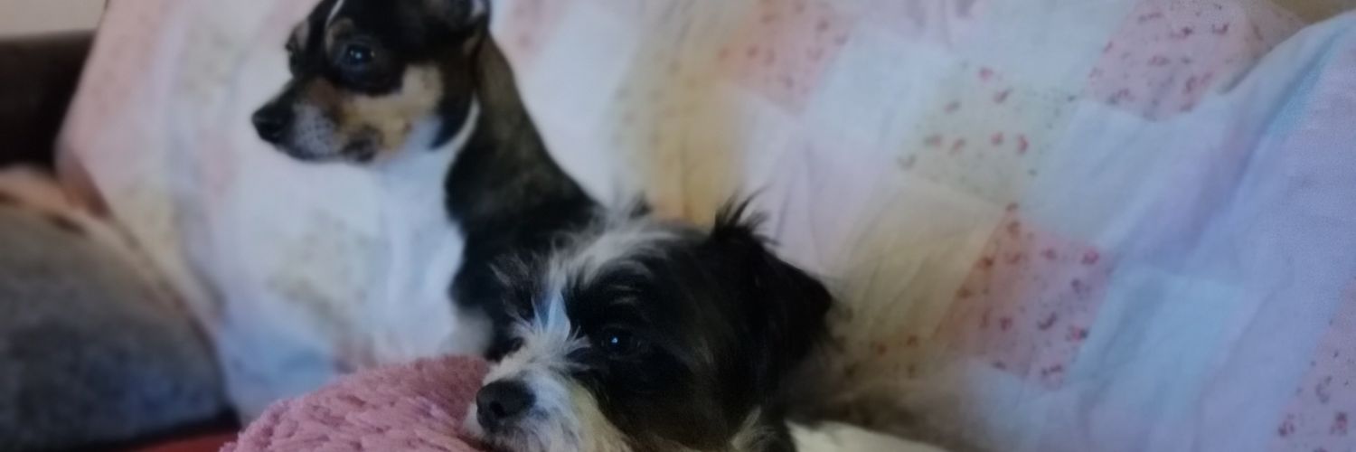 Moll Flanders banner