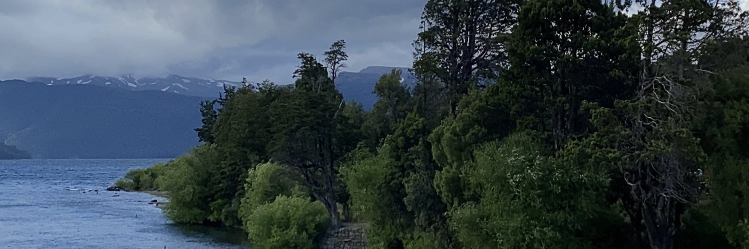 camitescio's profile banner image