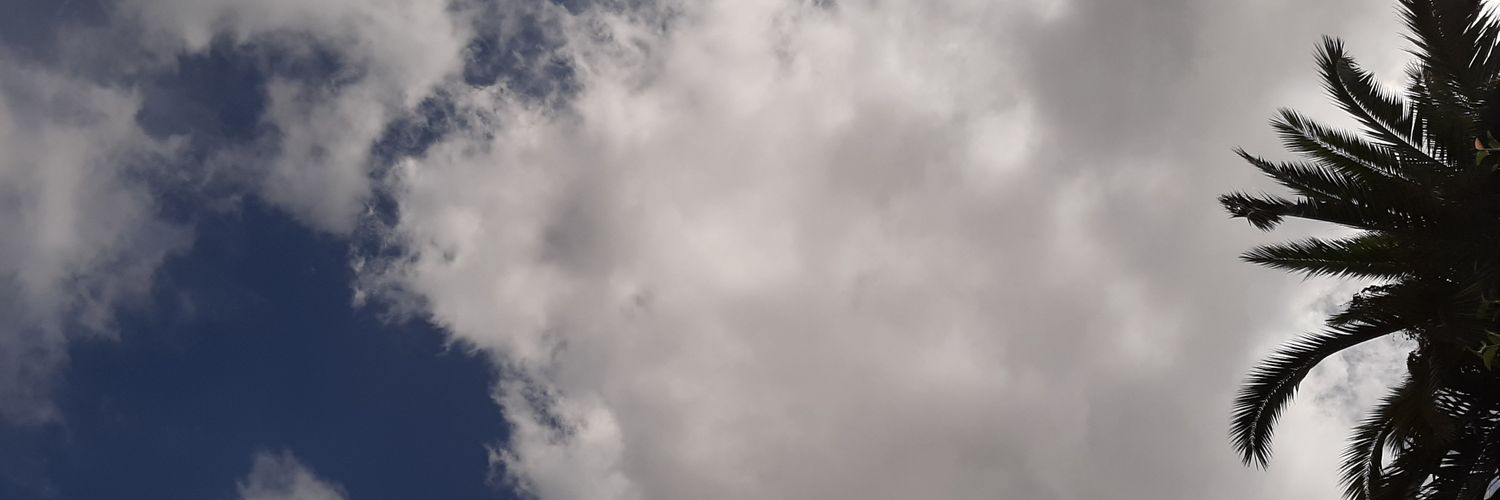 SoofiZabala's profile banner image