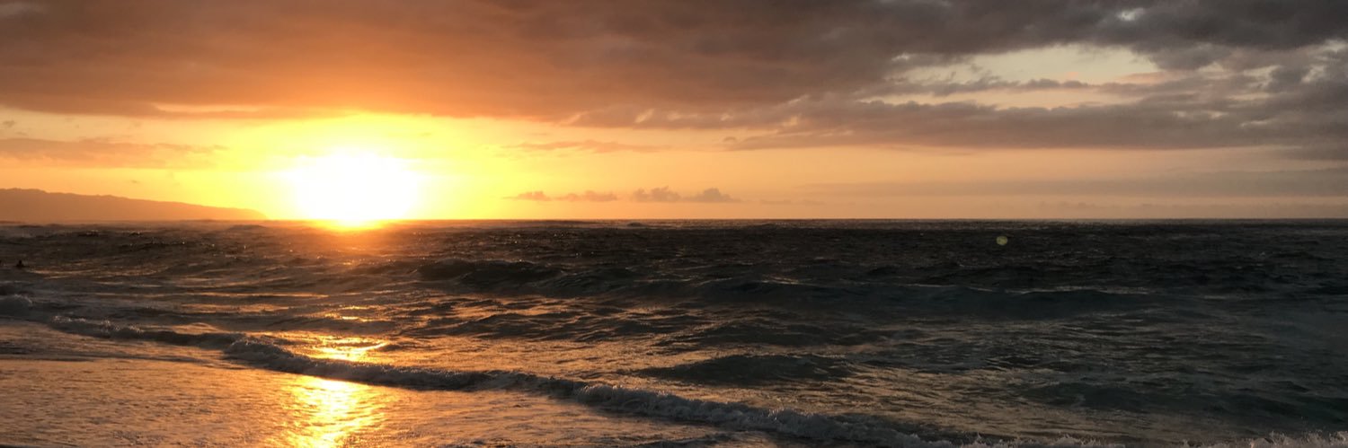 MarlaBraswell's profile banner image