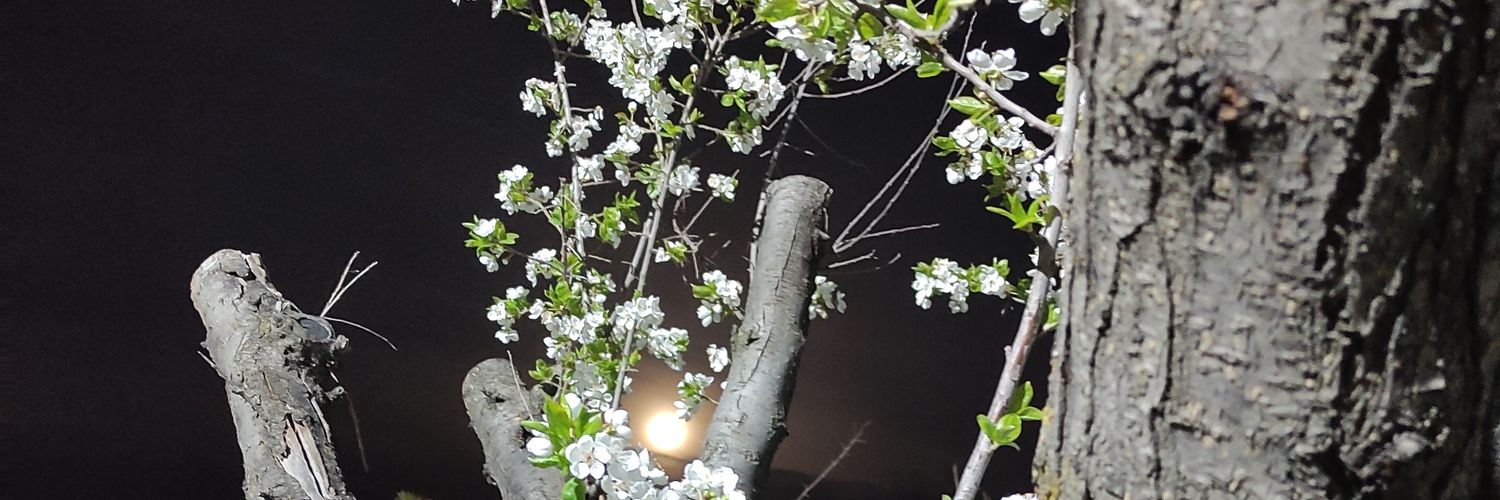 marslanmca's profile banner image