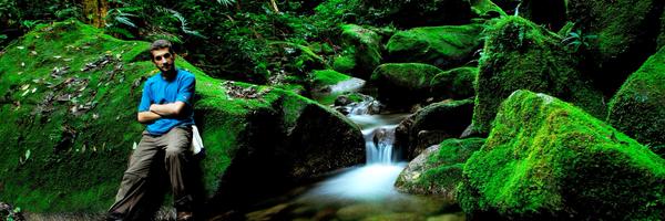 MyFrogCroaked Profile Banner