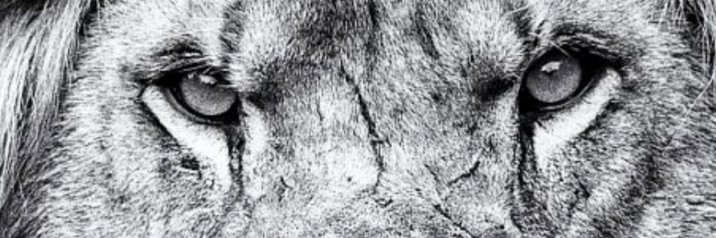 Kike Aznar banner