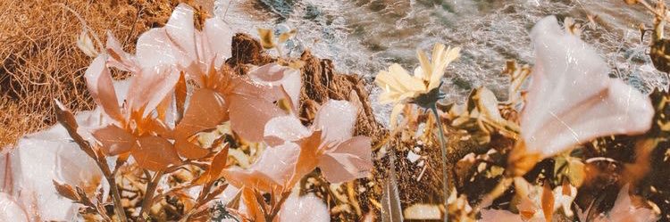 ox_kyllla's profile banner image