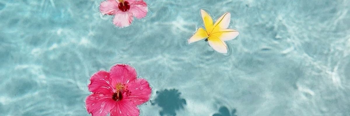 🛋️ banner
