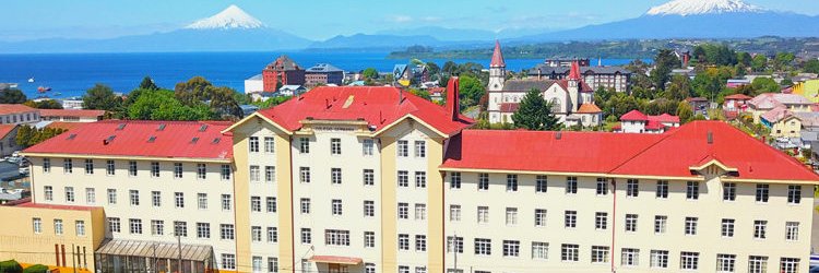 Mario 🇨🇱 banner