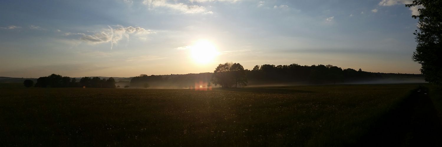 SadLolleax's profile banner image