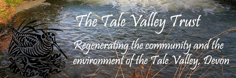 Talevalleytrust's profile banner image
