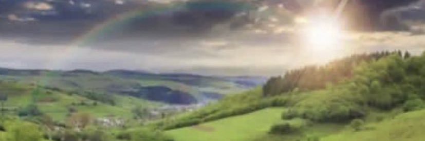 🎀 banner