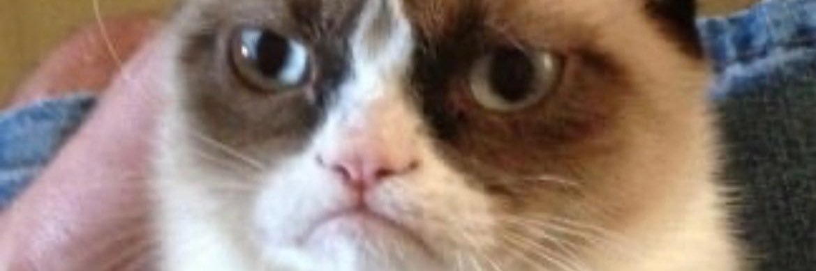 _fiqqy_'s profile banner image