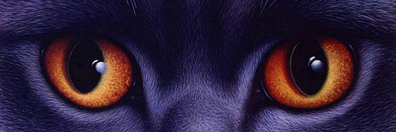 nook_sanit's profile banner image