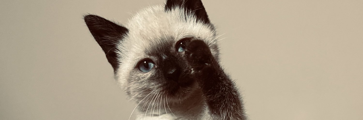 enzopalermini_'s profile banner image
