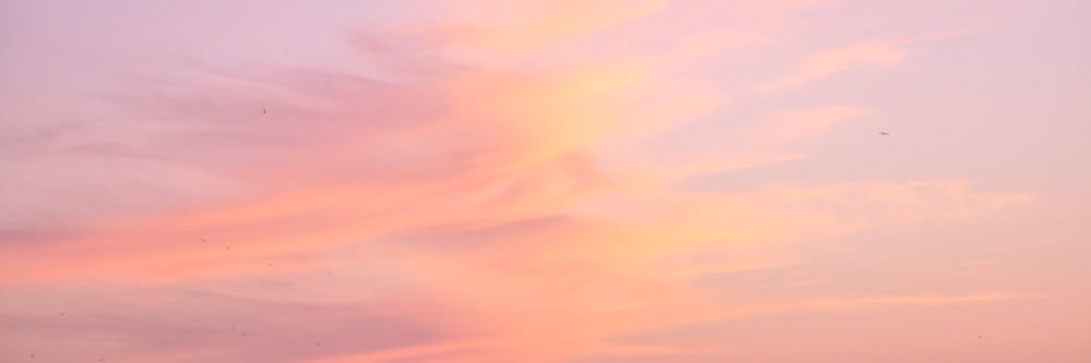 MeganBwilkinson's profile banner image