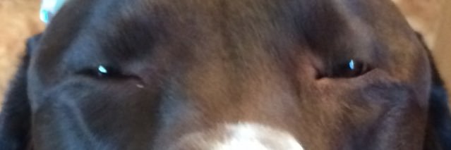 tambs_'s profile banner image