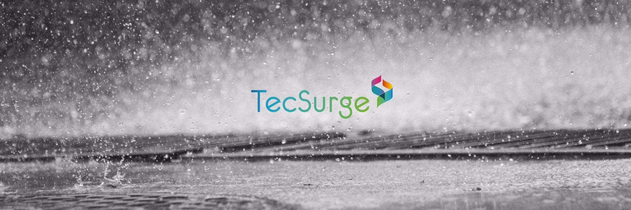 TecSurge banner