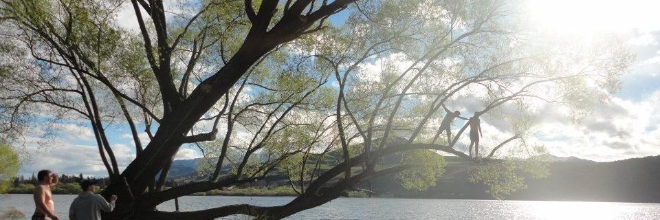 Robert_Falvey's profile banner image