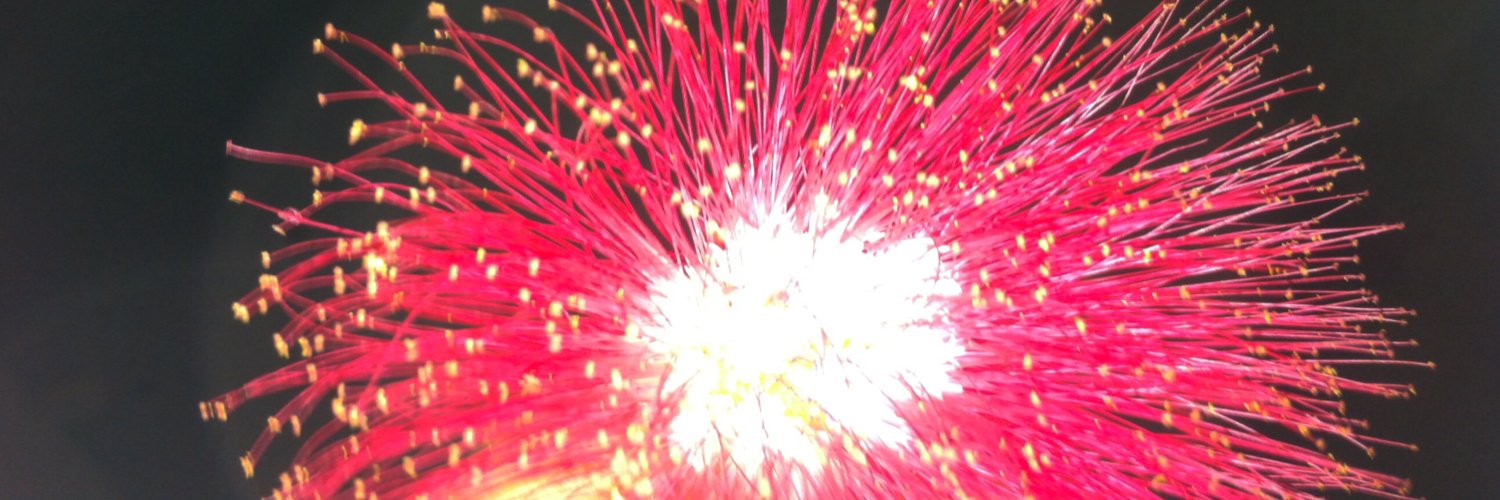 abhayalpha's profile banner image