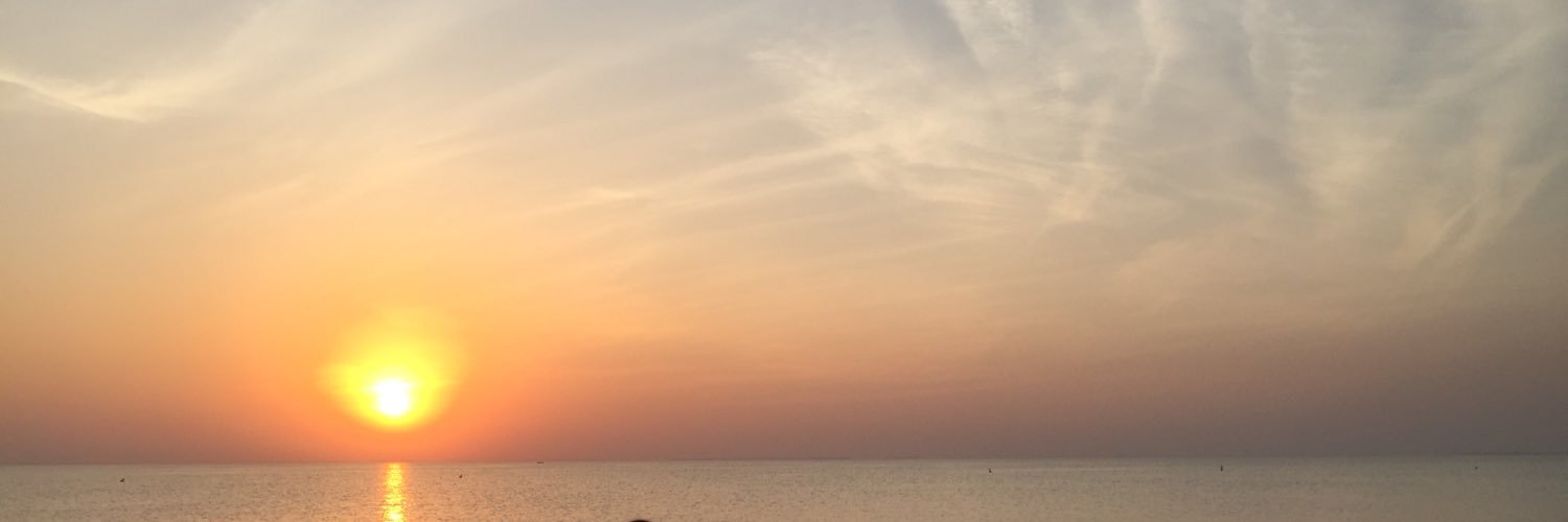 Rozalinex3's profile banner image