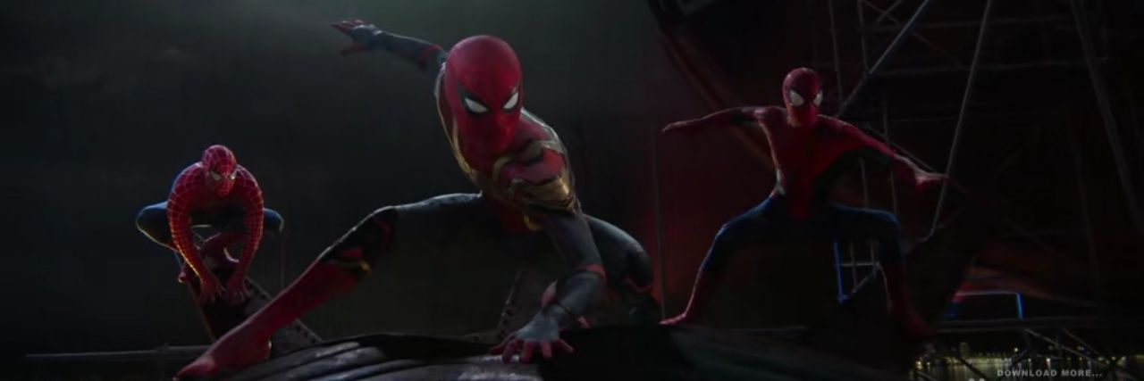 thelibradoctor's profile banner image