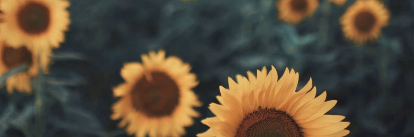 jrich826's profile banner image