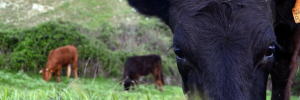 ASantosLopez Profile Banner