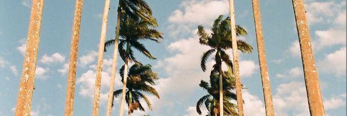 HeyMimiii's profile banner image