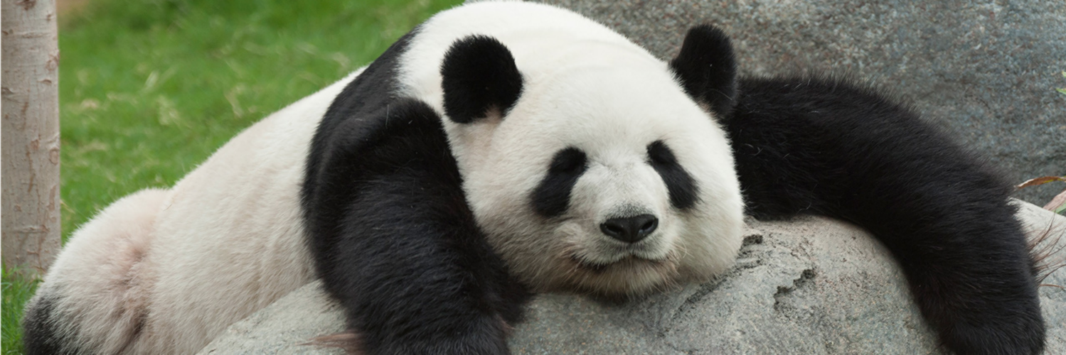 Baileyy_Smith's profile banner image