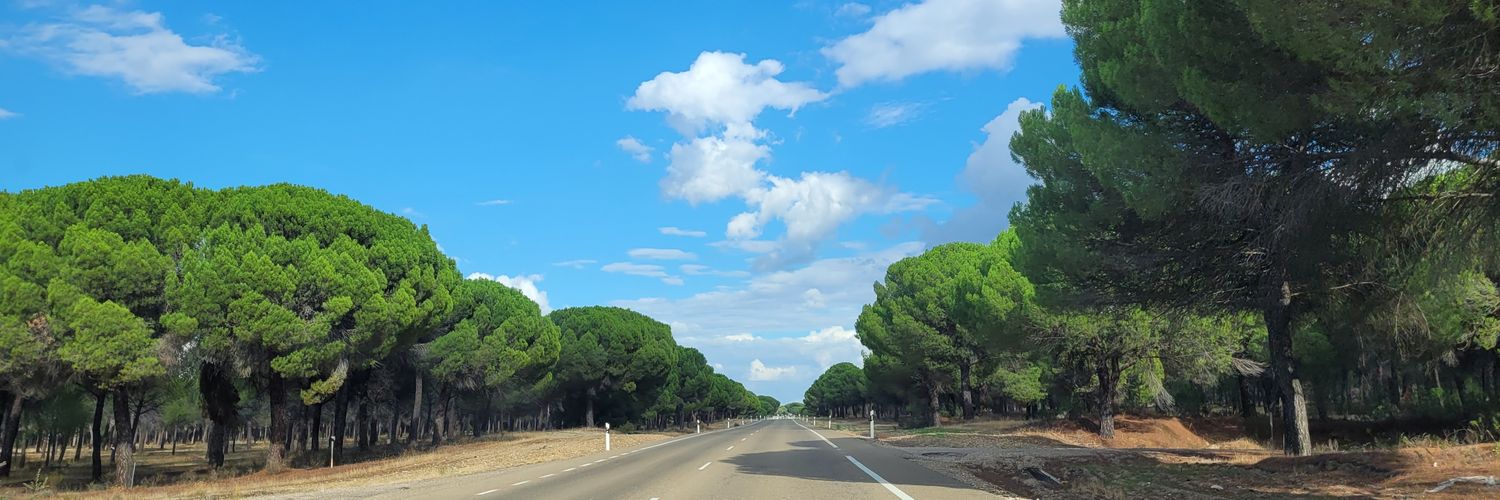 María Medina banner