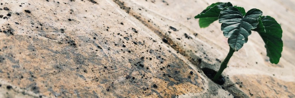RobertoAlxander's profile banner image