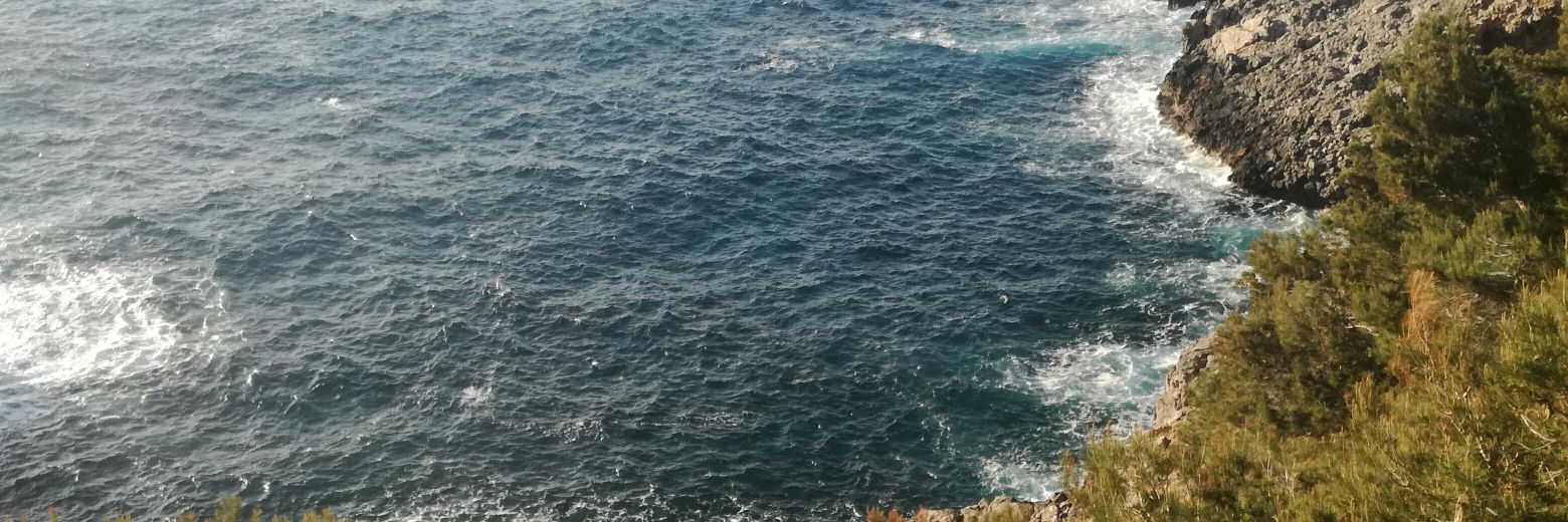 sc_lucia's profile banner image