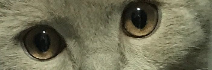 QaerdenB's profile banner image