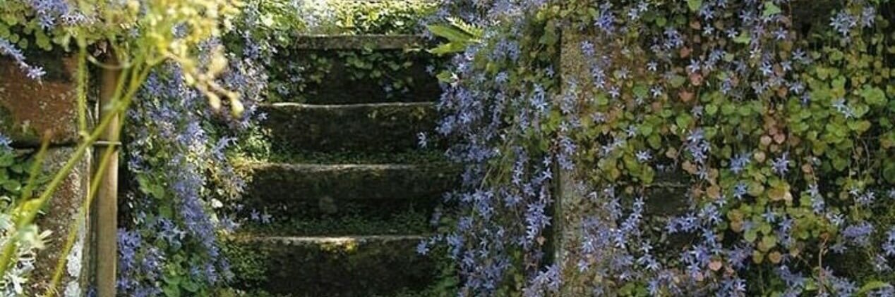 brenthe_t's profile banner image