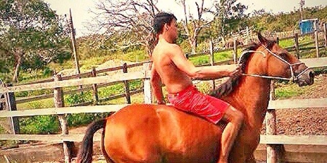 _elisioneto's profile banner image