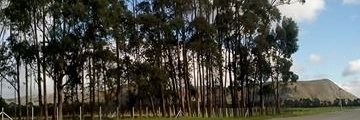 Andres18236's profile banner image