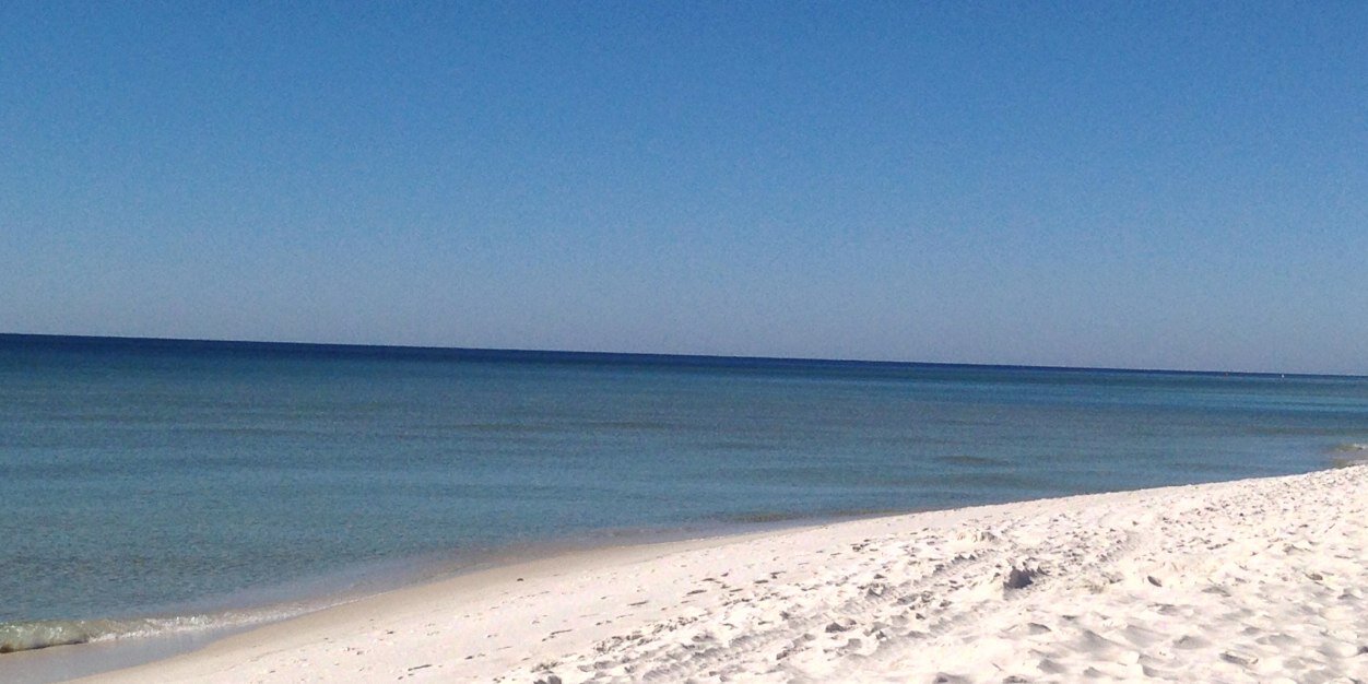 scottnickens's profile banner image
